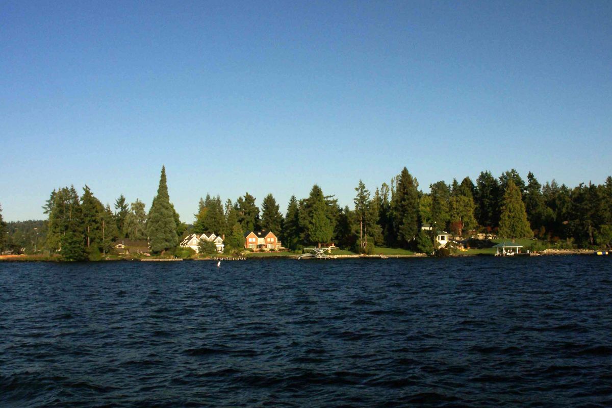 Essential Guide to Investing in Lakefront Homes