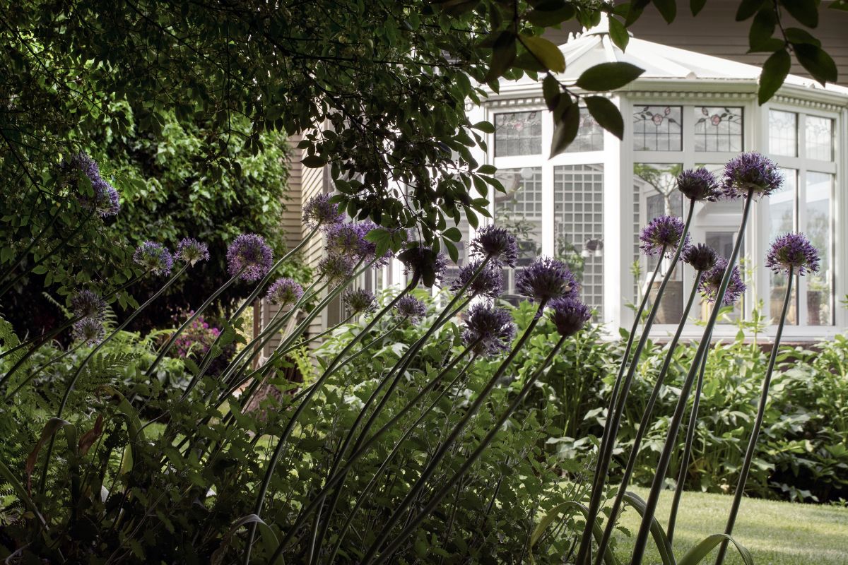 How to Design a Winter Garden for Year-Round Enjoyment