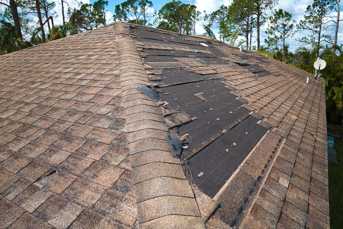Roof Damage Prevention and Repair Essentials for Storm-Prone Areas