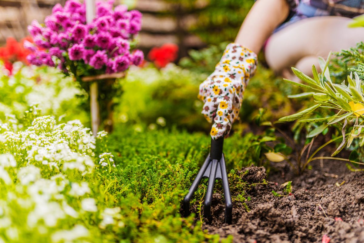 How To Incorporate A Garden Into Your Tiny House Plan