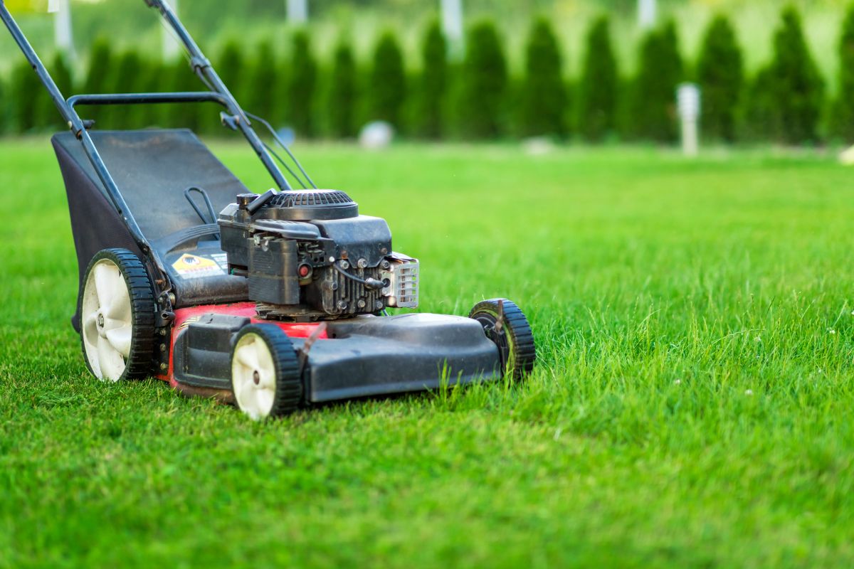 Care and Preservation of Lawn Mower Clutch Cables 